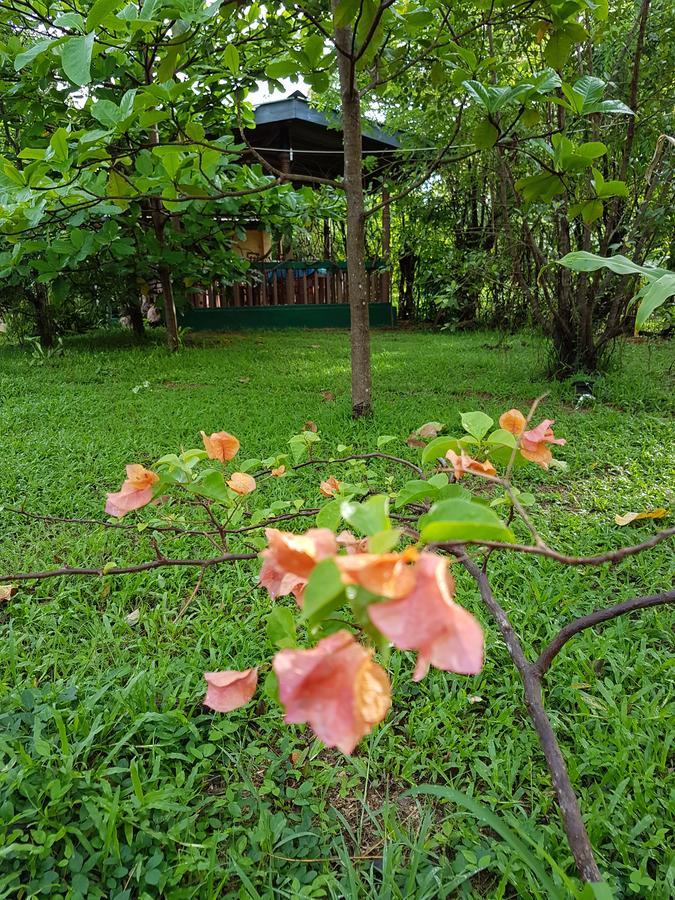 Sigiri Heritage Villa Sigiriya Eksteriør billede