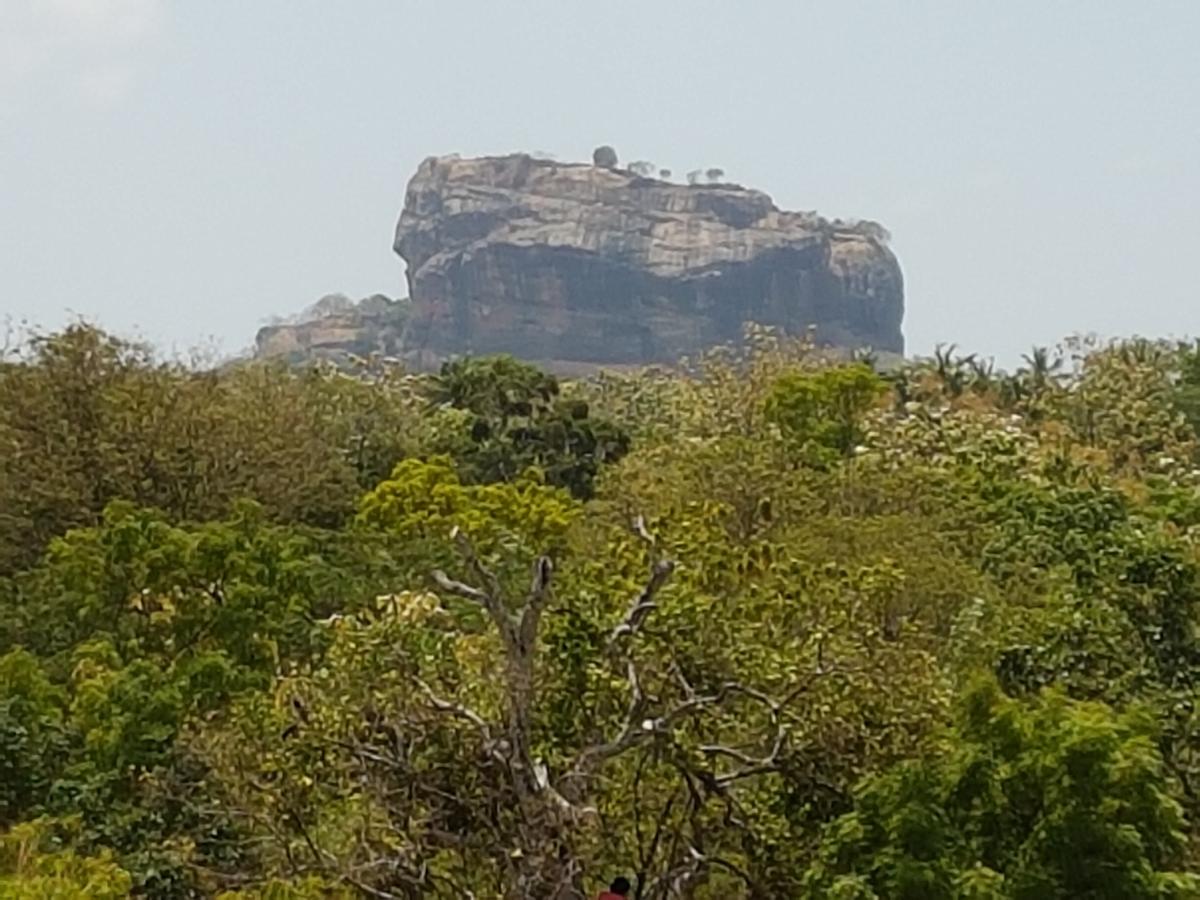 Sigiri Heritage Villa Sigiriya Eksteriør billede